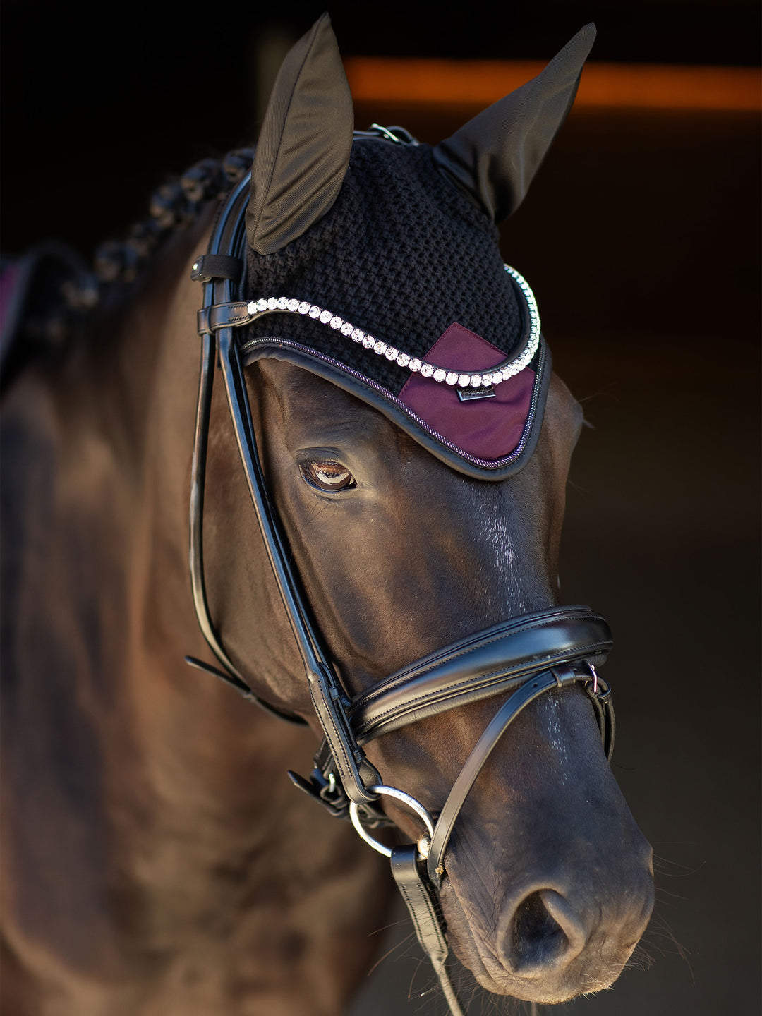 Equestrian Stockholm Purple Night Zirgausis