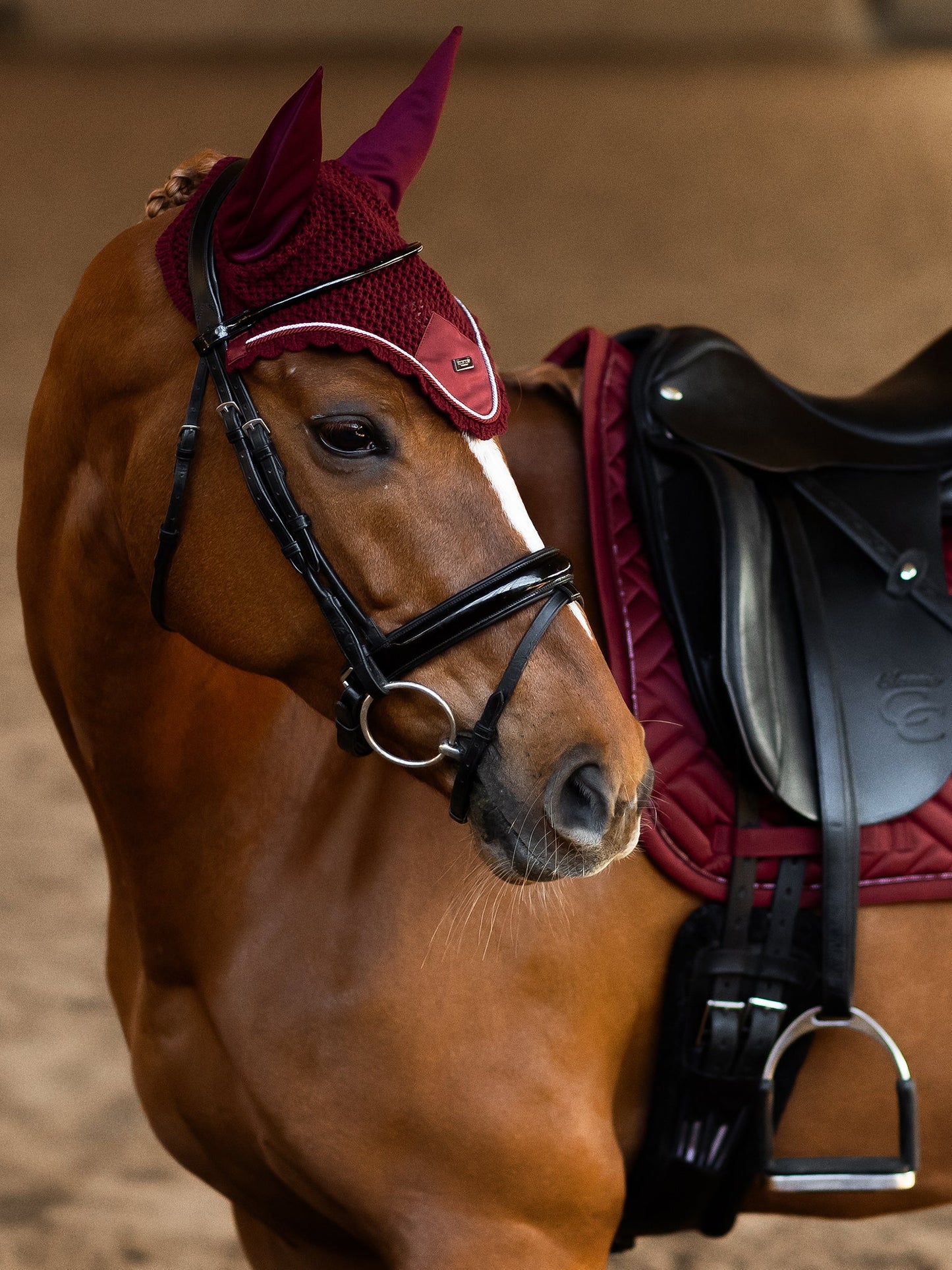 Equestrian Stockholm Bordeaux Zirgausis