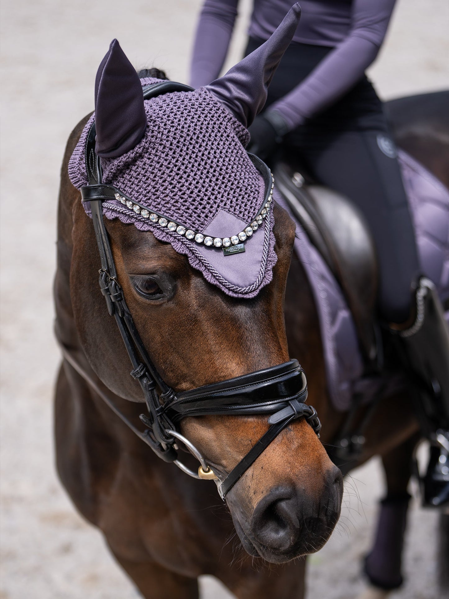 Ear Bonnet Dark Violet
