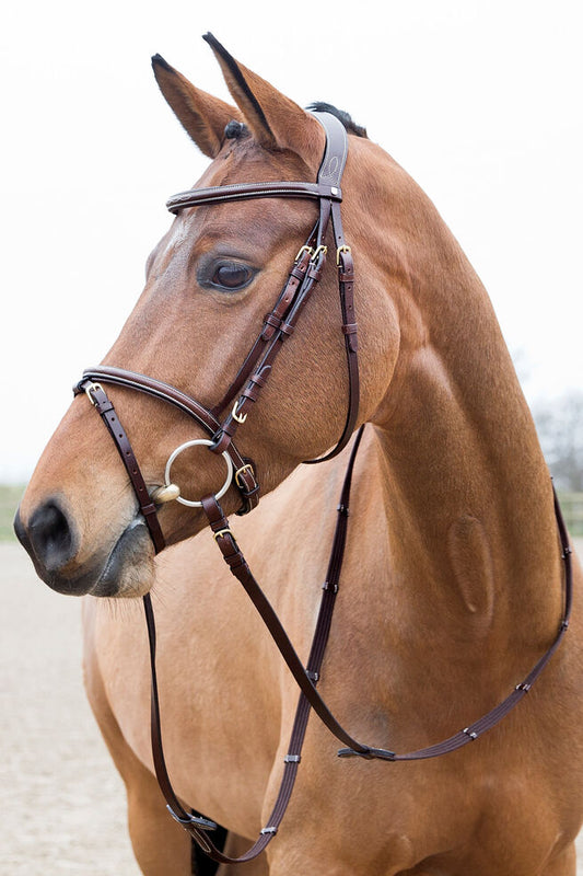 Horze Constance Padded Flash Bridle Full