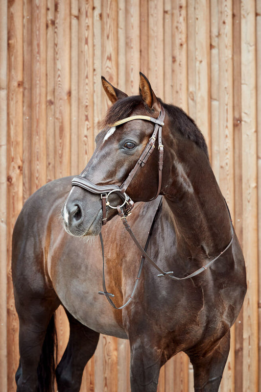 Horze Highbury Anatomic Bridle with Crystal Brow Band Cob