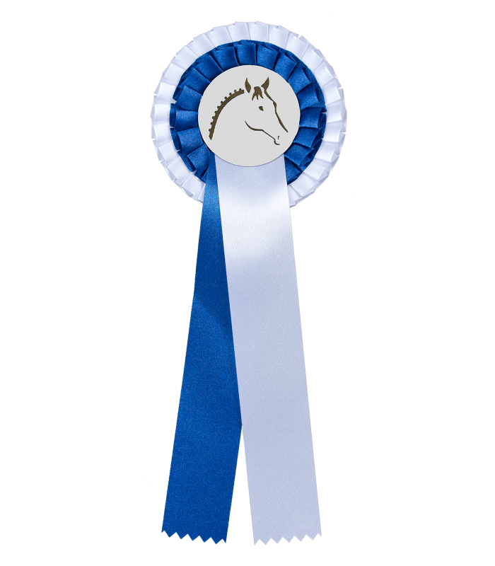Waldhausen Prize Ribbon