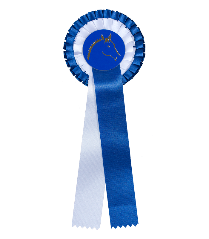 Waldhausen Prize Ribbon