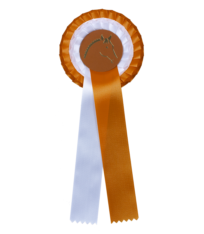 Waldhausen Prize Ribbon