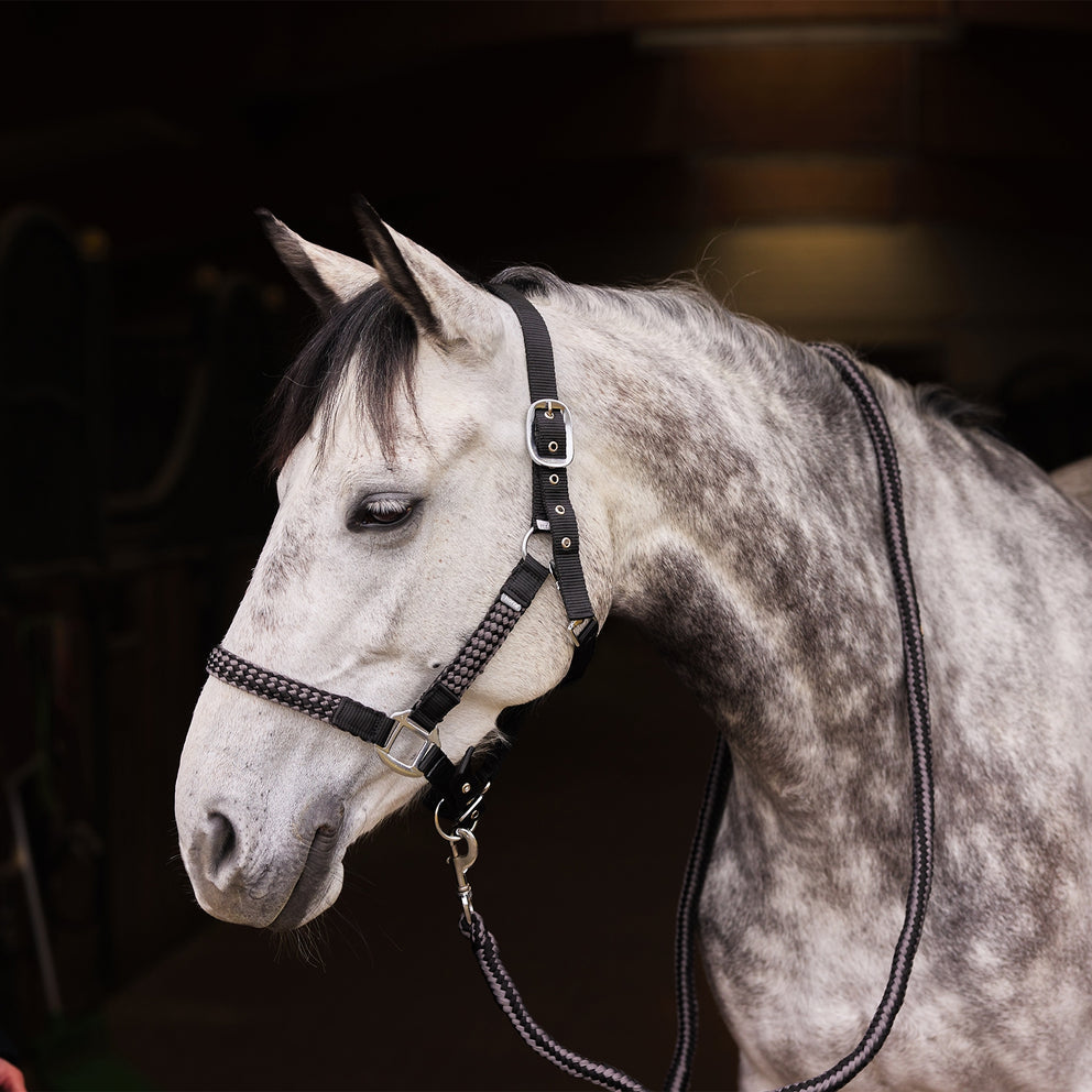 Horze Chicago Halter & Lead Set (Black)