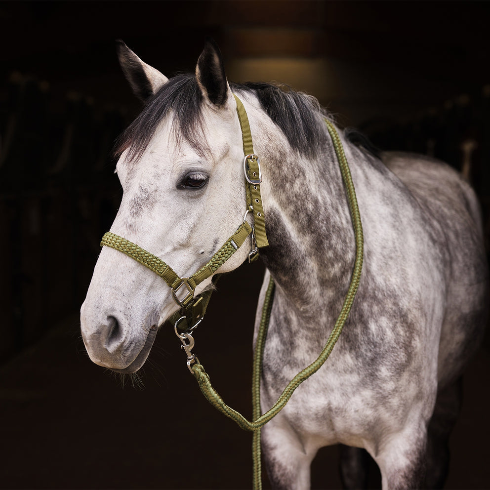 Horze Chicago Halter & Lead Set (Cyrpess Green)