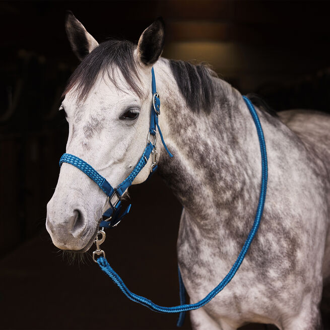 Horze Chicago Halter &amp; Lead Set