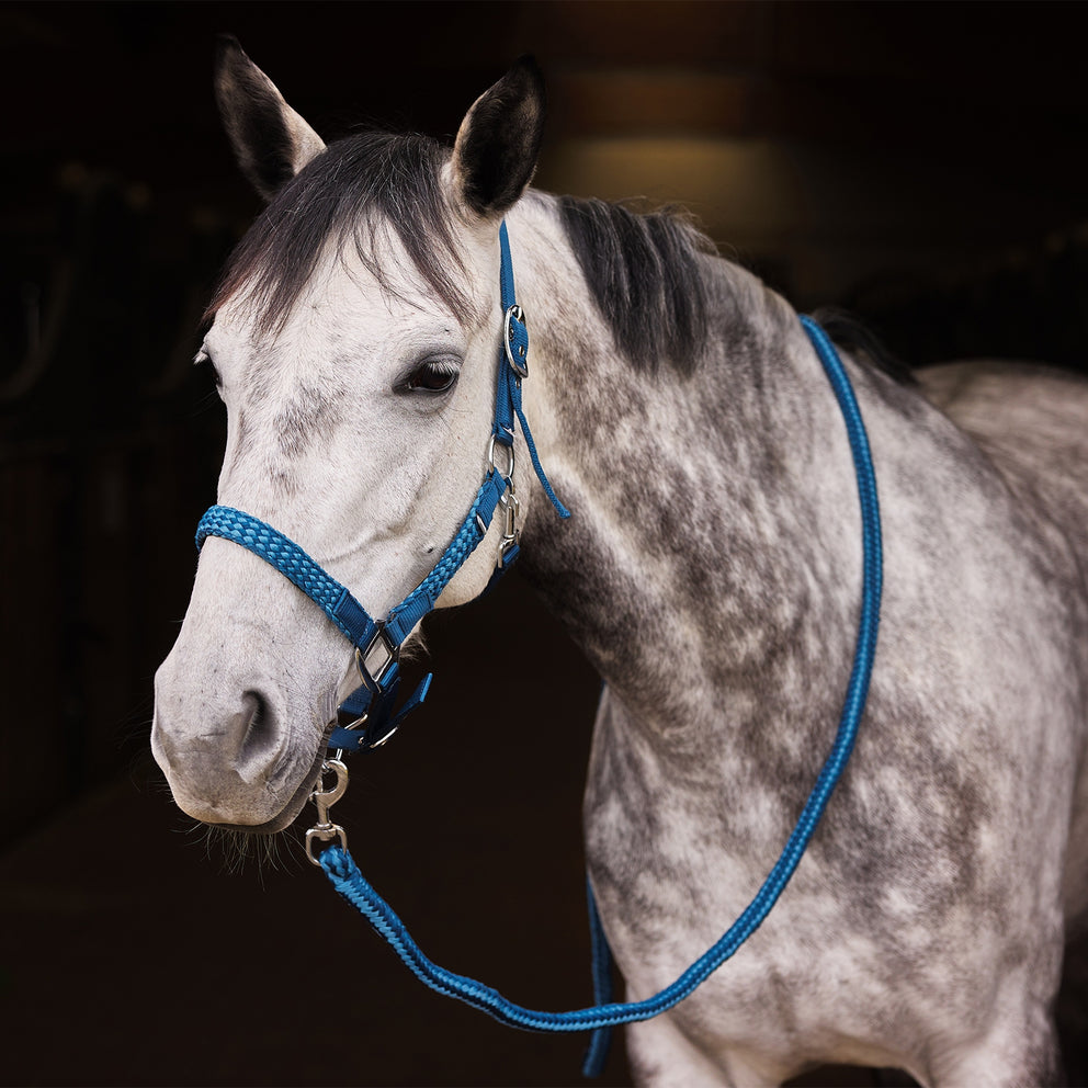 Horze Chicago Halter & Lead Set (Lagoon Blue)