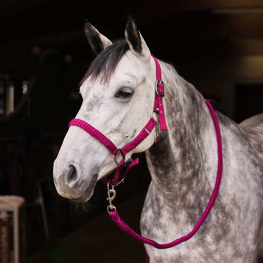 Horze Chicago Halter &amp; Lead Set