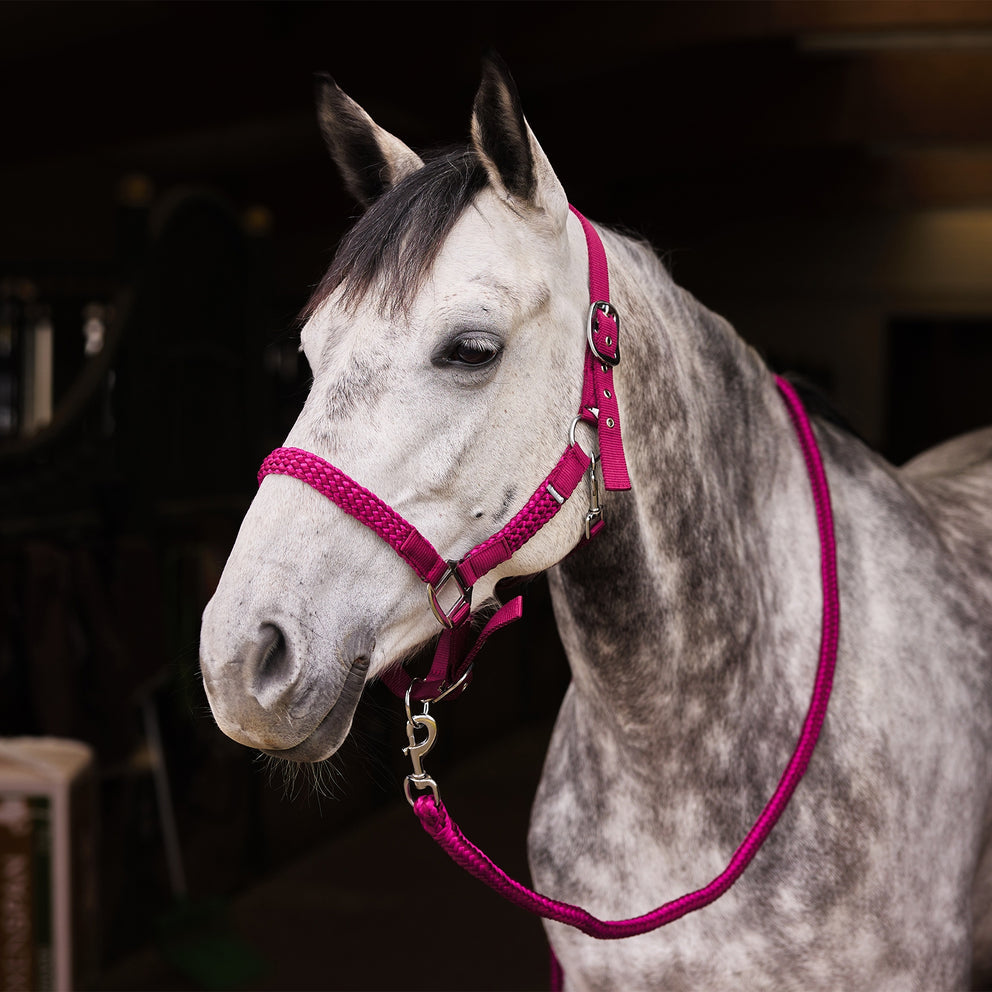 Horze Chicago Halter & Lead Set (Wine Red)