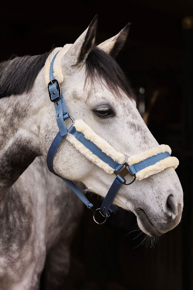 Horze Marquess Halter with Faux Fur Lining