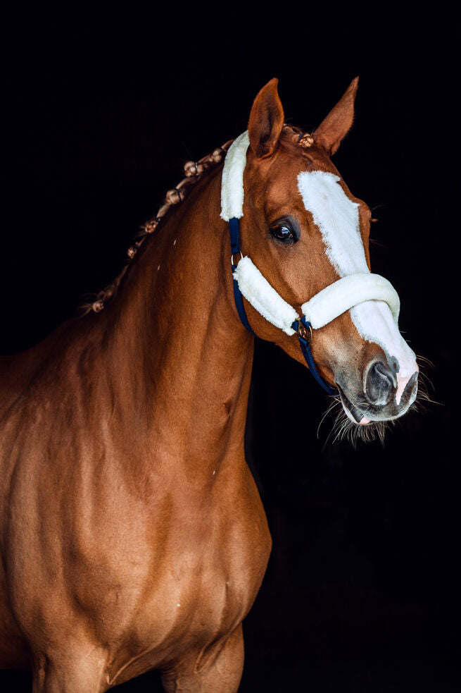 Horze Lincoln Halter with Fur