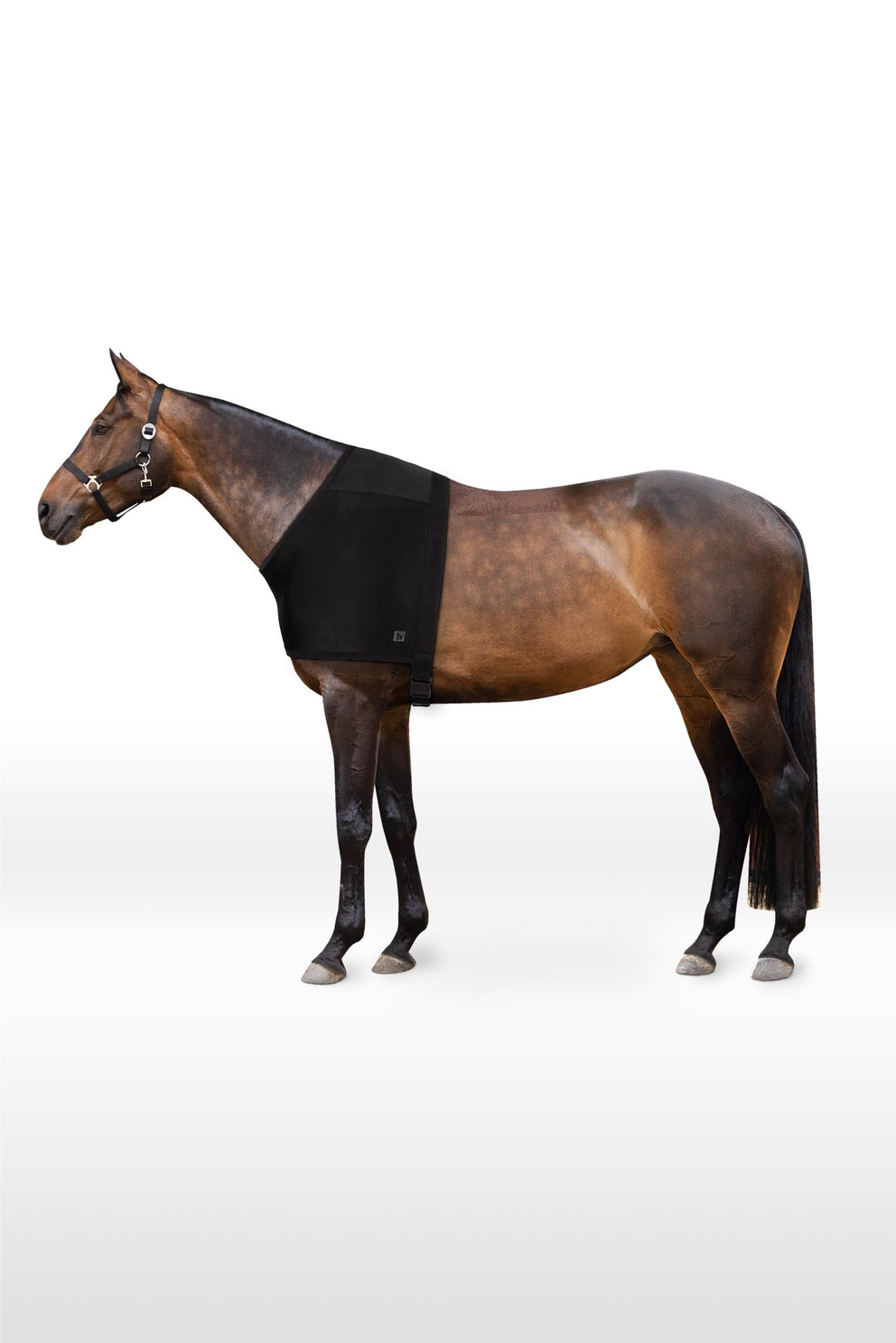 Horze ComForce Shoulder Guard