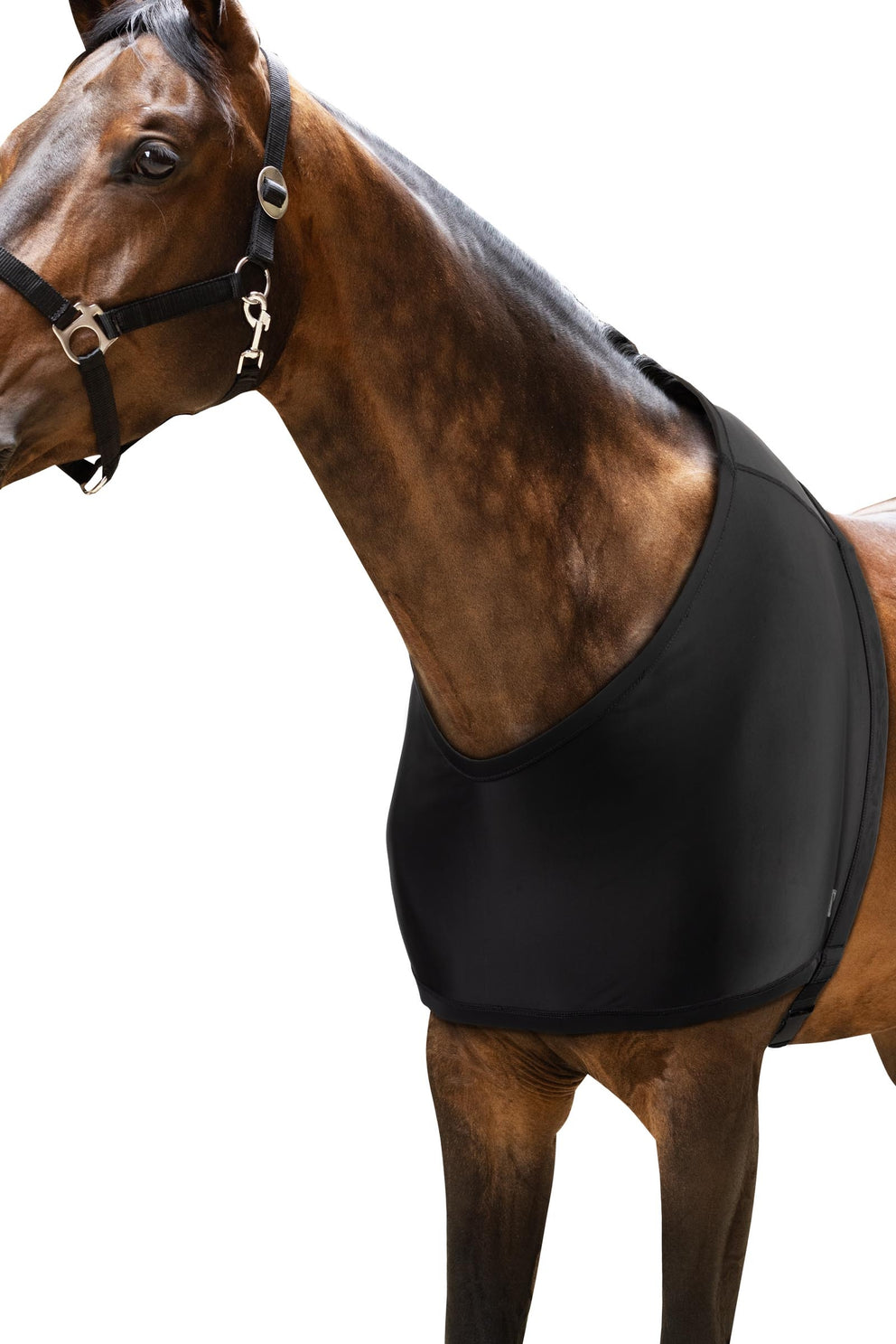 Horze ComForce Shoulder Guard
