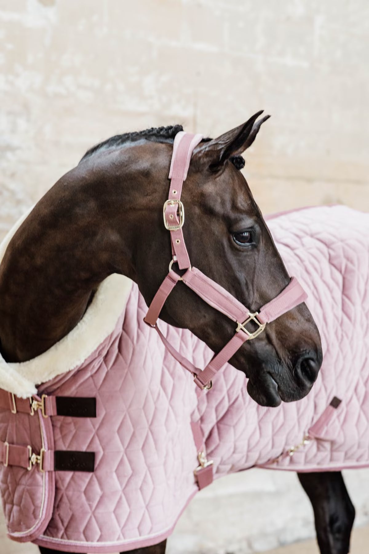 Kentucky Velvet Halter (Old Rose)