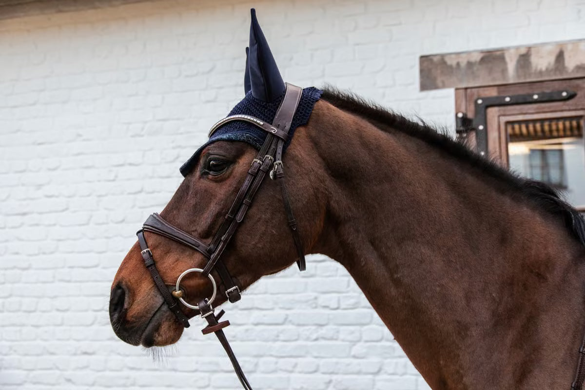 Kentucky Fly Veil Wellington Glitter Stone Soundless (Navy)
