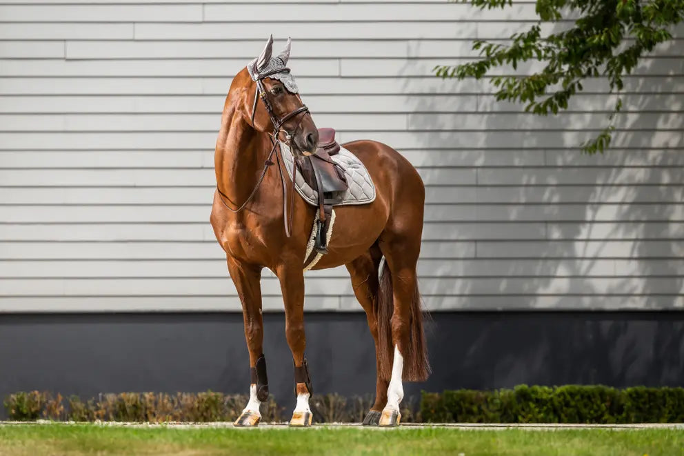 Corduroy Saddle Pad Jumping