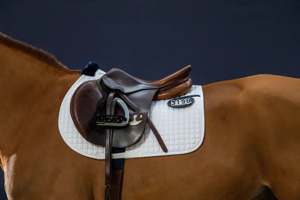 Show Saddle Pad Jumping