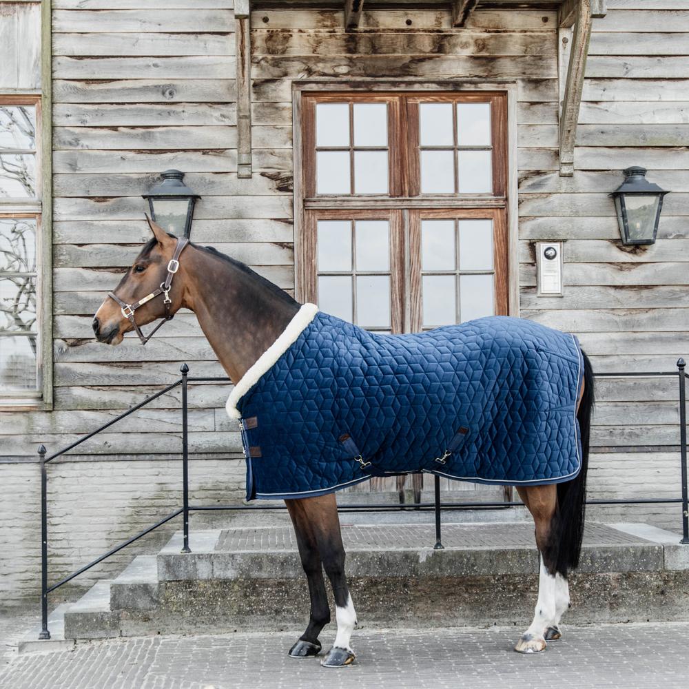 Kentucky Show Rug Velvet 160g