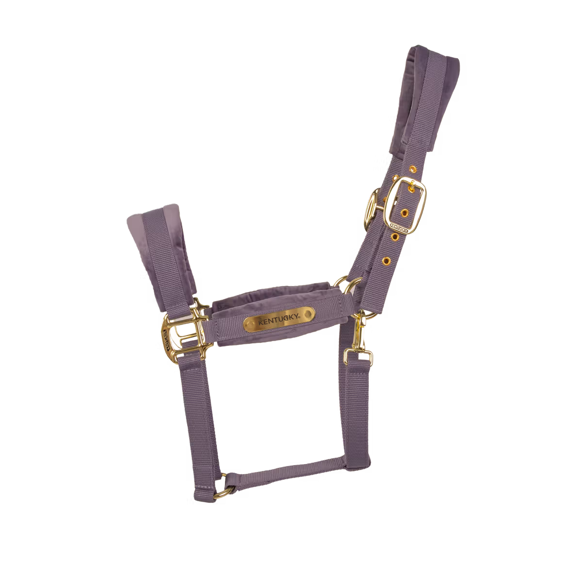 Kentucky Velvet Halter (Purple)