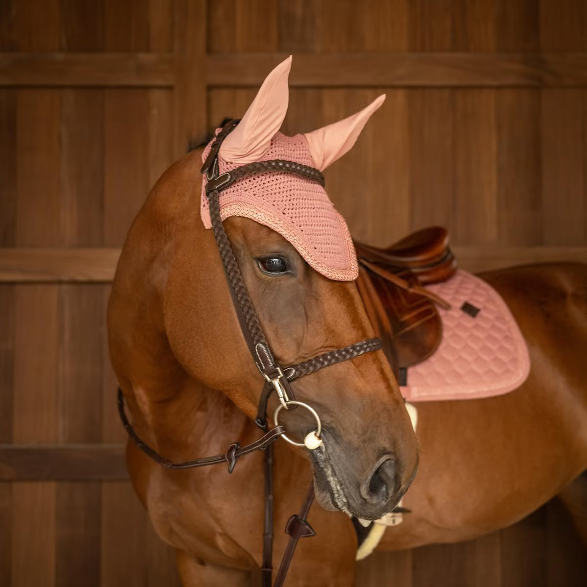 Kentucky Fly Veil Wellington Plaited Glitter Rope (Old Rose)