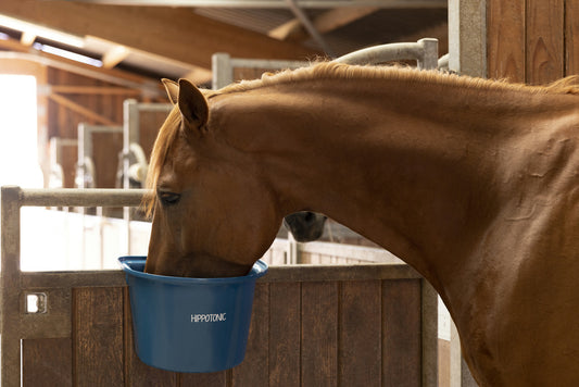 HIPPOTONIC DOOR HANG FEEDER