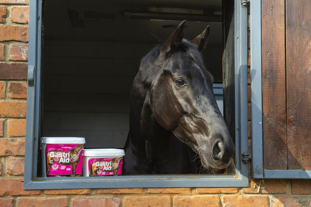 NAF "Gastri Aid" Complementary feed