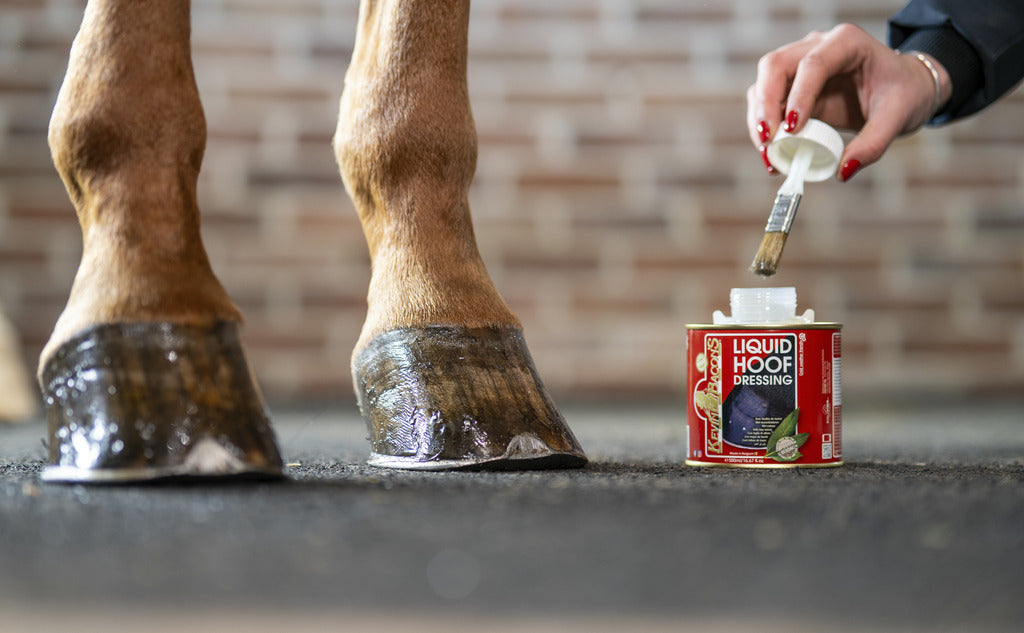 KEVIN BACON'S HOOF DRESSING - LIQUID - eļļa nagiem 0.5l