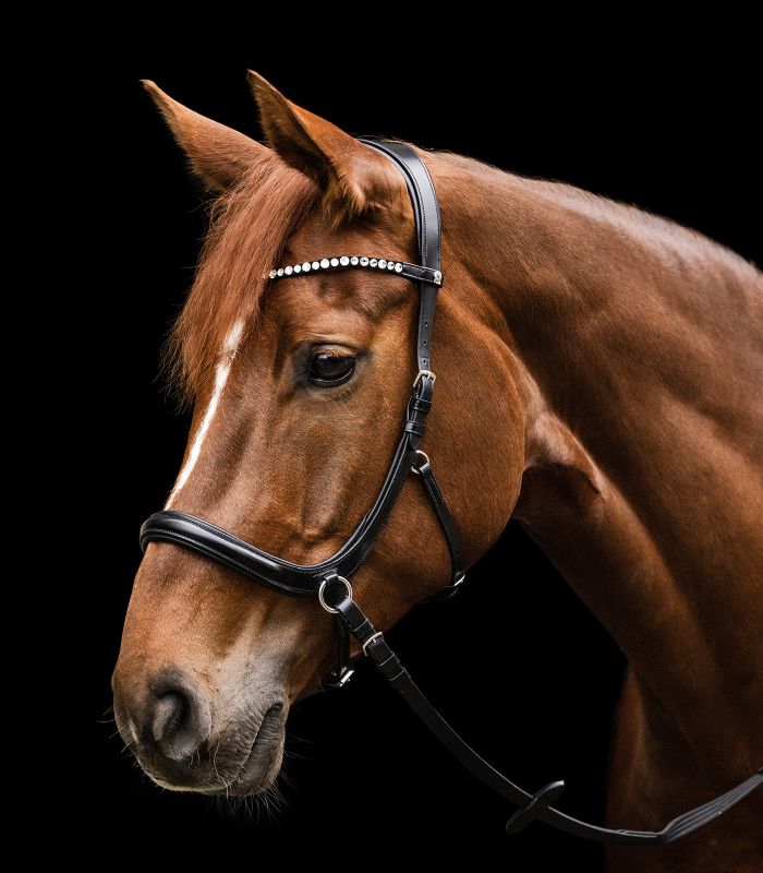 Waldhausen X-Line Bitless Bridle Sensation