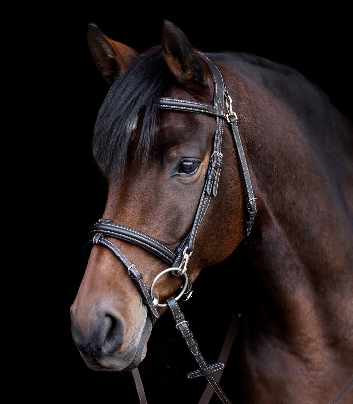Waldhausen Work X-Line bridle (Brown)