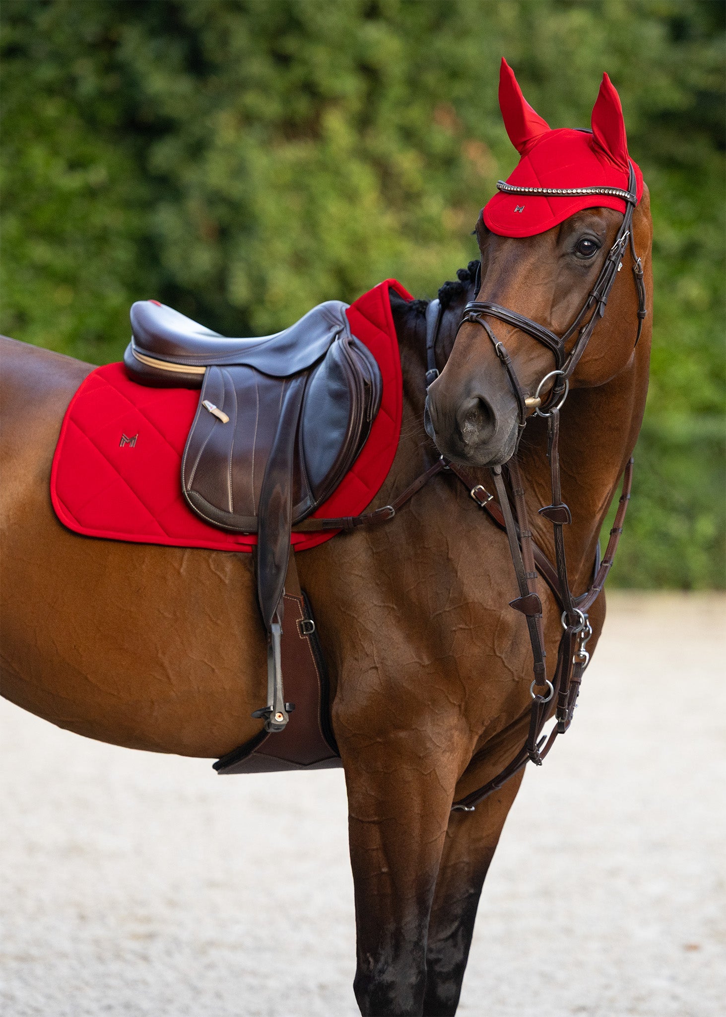 Maximilian Velvet Jumping Saddle Pad (Crimson)