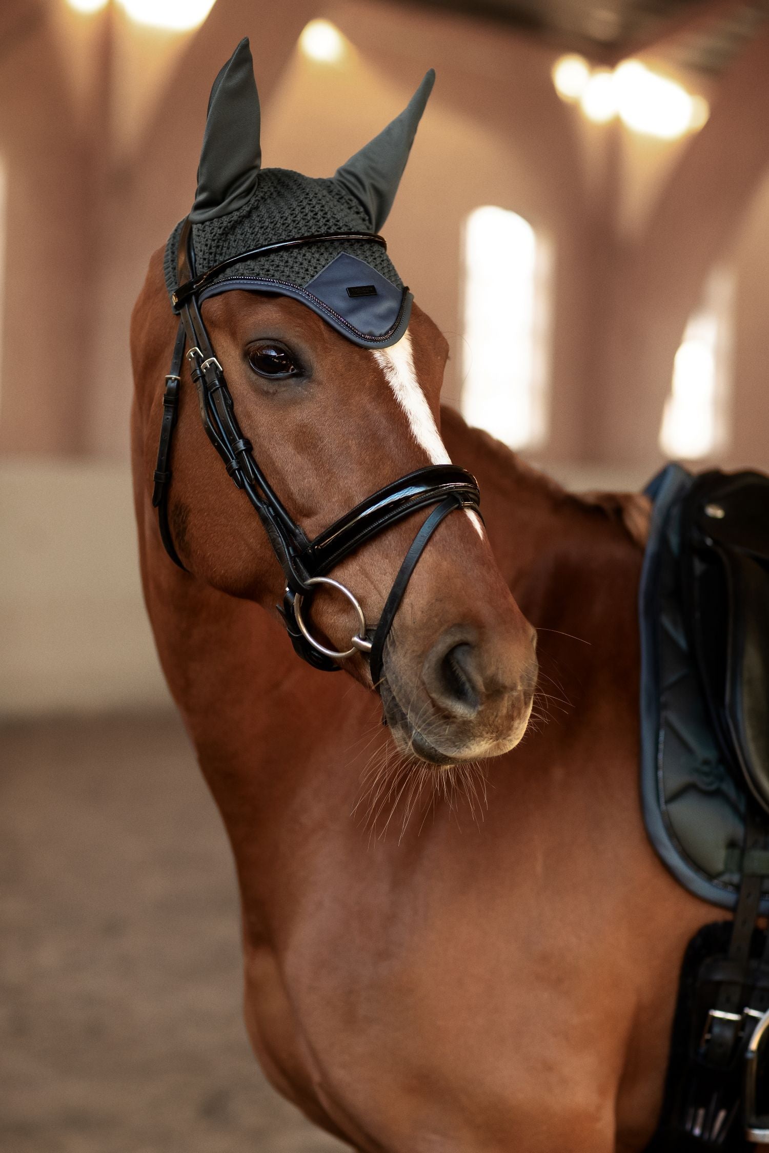 Equestrian Stockholm zirgausis Modern Avenue