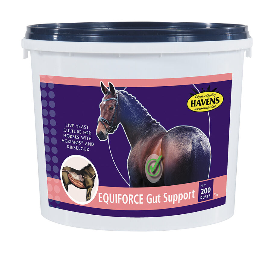 EquiForce Gut Support 1kg
