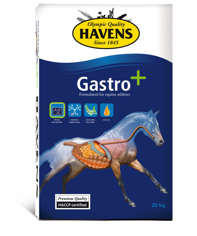 HAVENS Gastro +, 20kg 