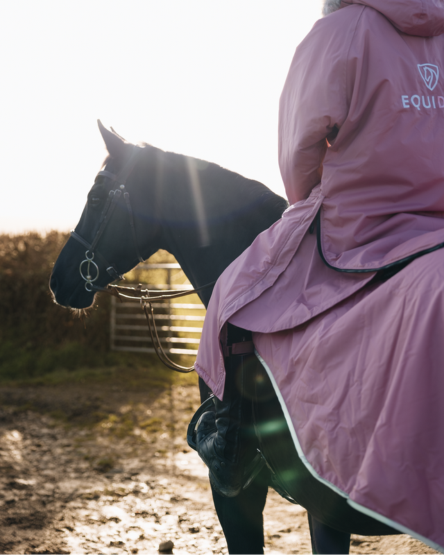 Equidry Waterproof Exercise Sheet Thick | Valerian