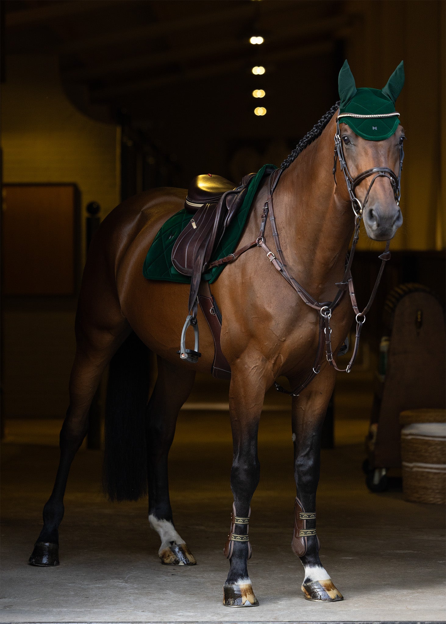Maximilian Velvet Jumping Saddle Pad (Jade)