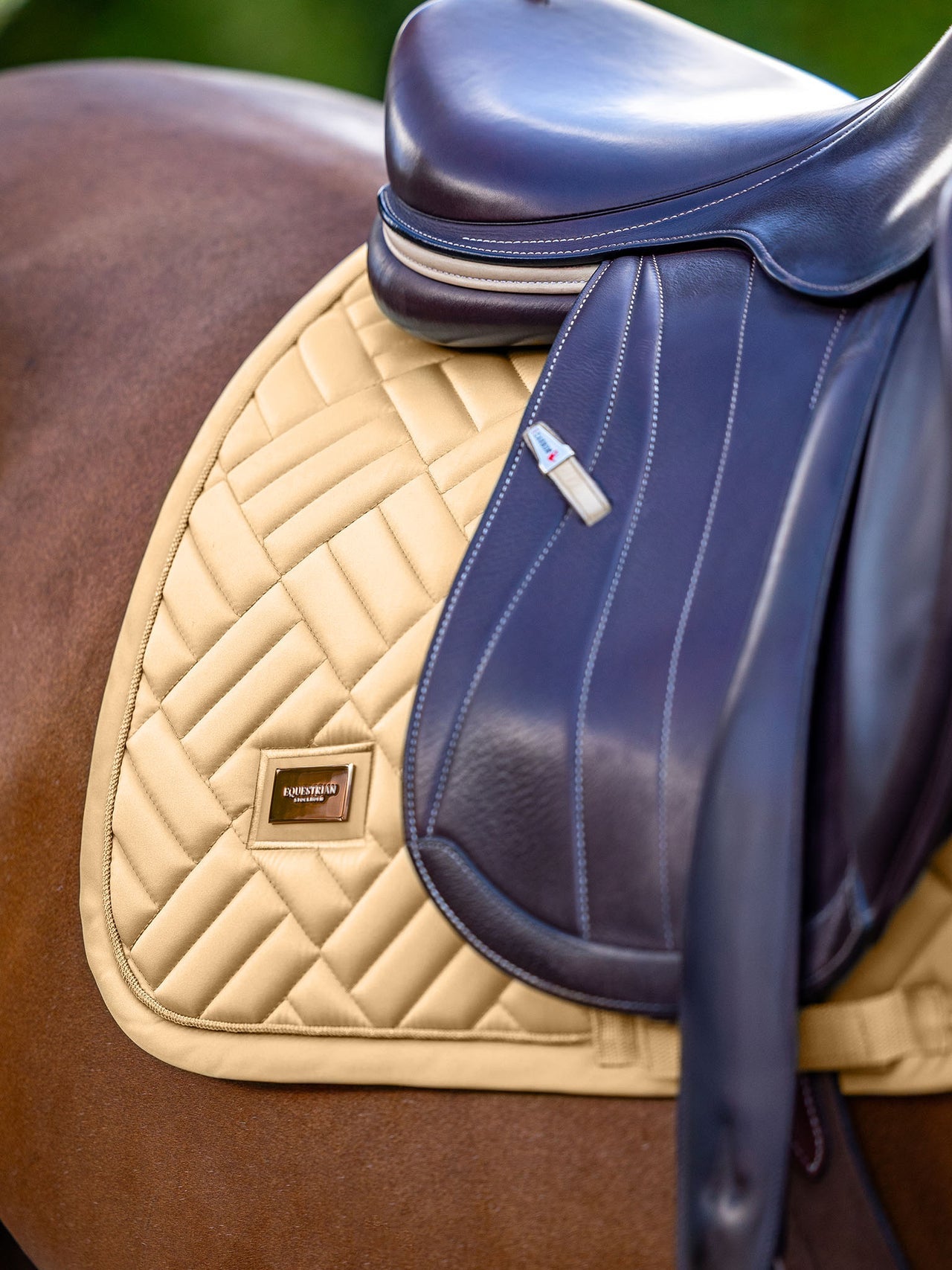 Equestrian Stockholm Jump Saddle Pad Modern Midsummer Glow on horse