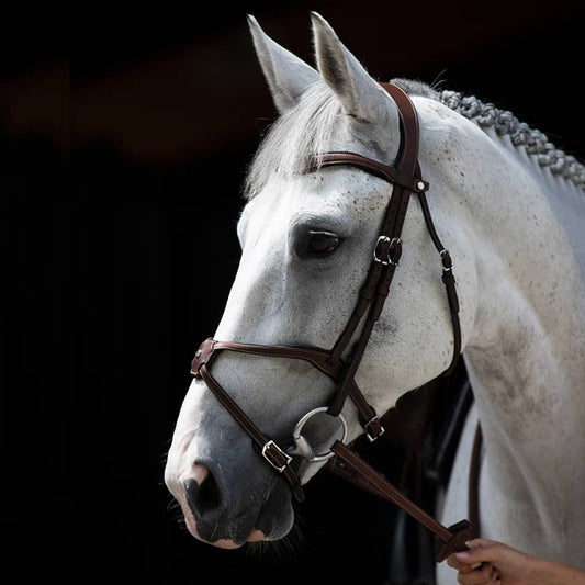 Antares Origin anatomic figure 8 noseband bridle