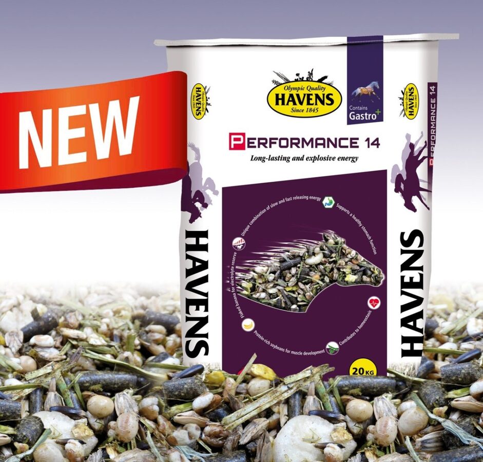 HAVENS Performance 14 muesli, 20 kg