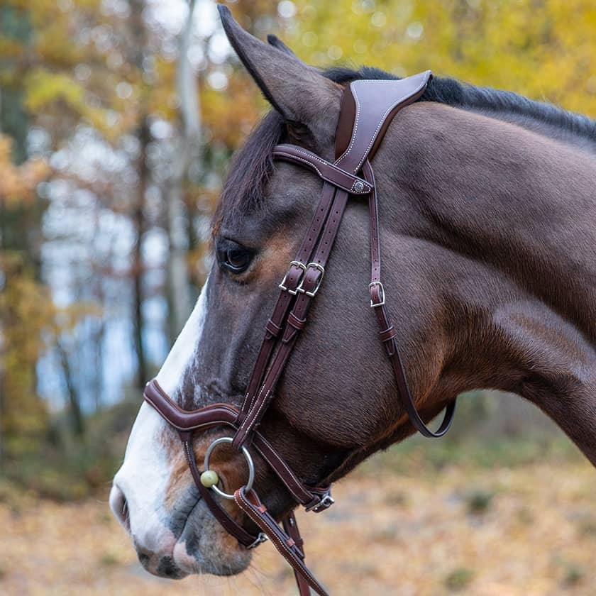 Antares Precision Y noseband anatomic bridle