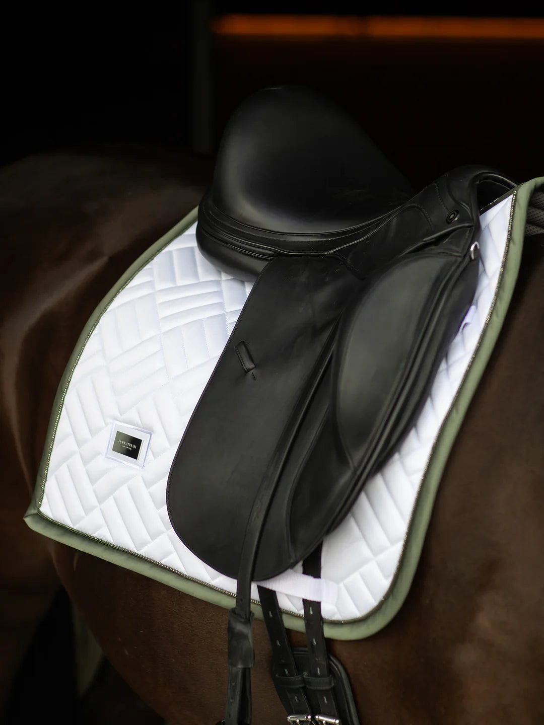 Equestrian Stockholm Striking Valley sviedrene