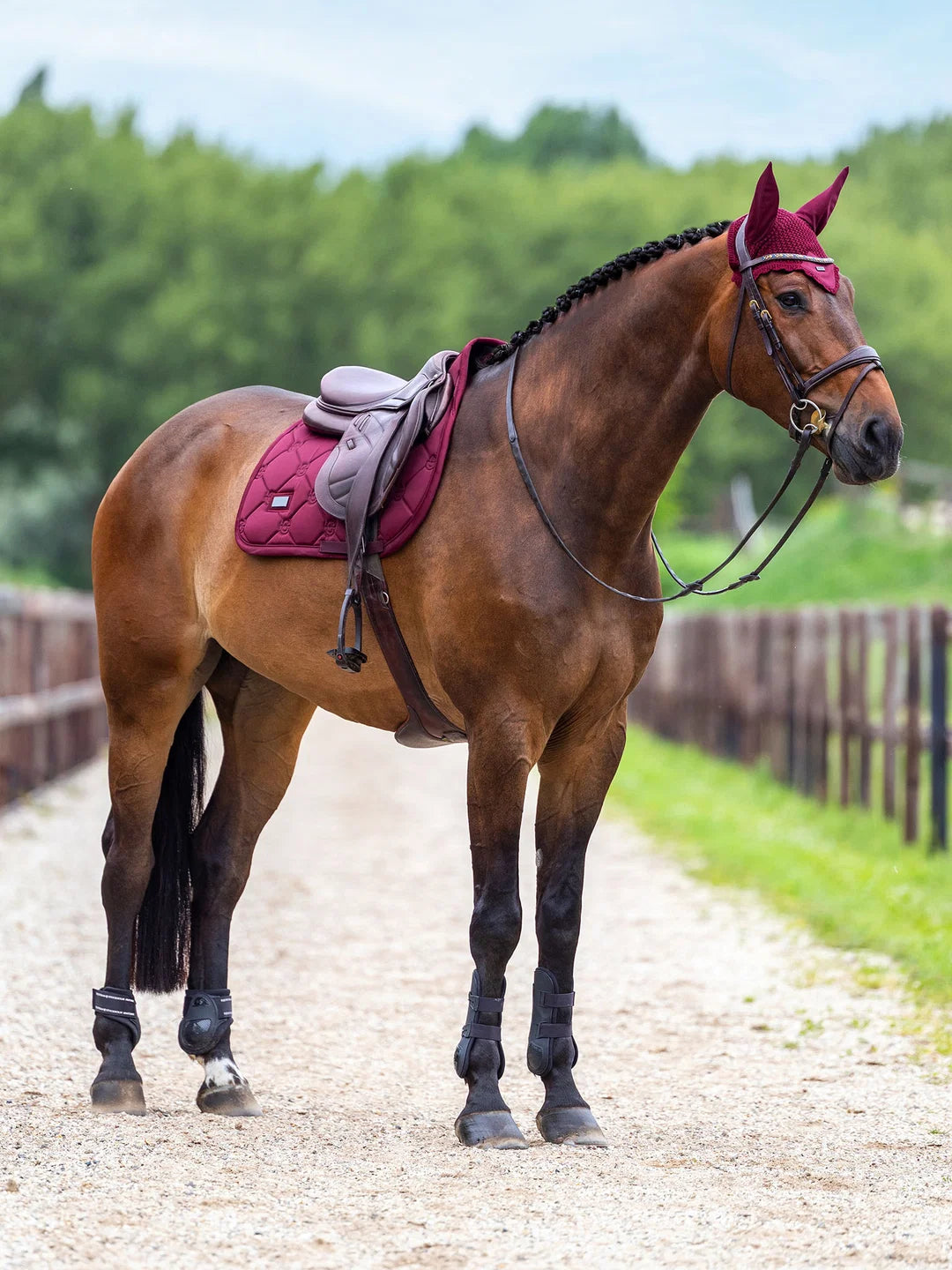Equestrian Stockholm Jump Saddle Pad Satin (Merlot)