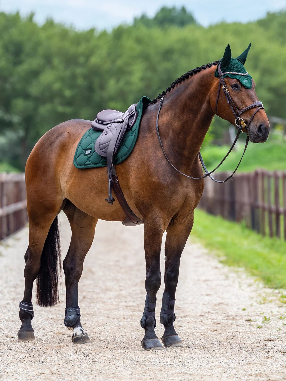 Equestrian Stockholm Jump Saddle Pad Satin (Sycamore Green)