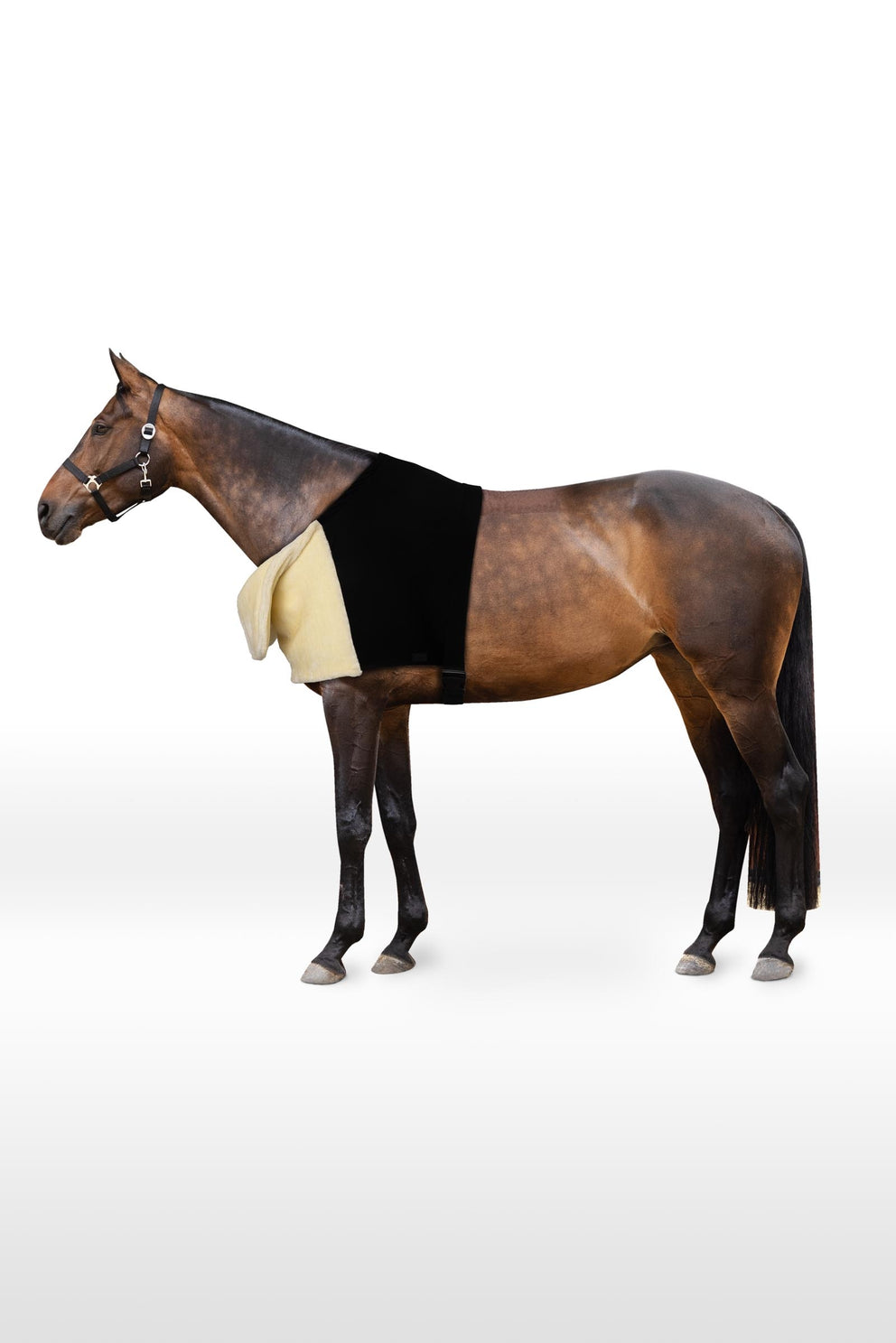 Horze Comfort Shoulder Protector