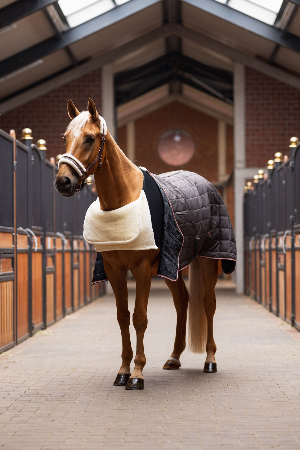 Horze Comfort Shoulder Protector