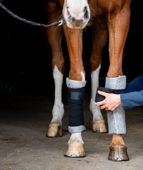 Torpol MEMORY LEG WRAPS