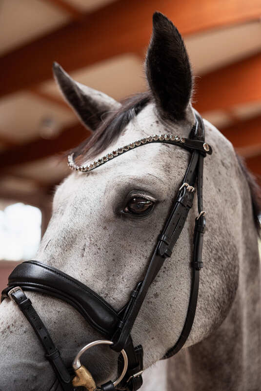 Horze Delémont Slim Browband