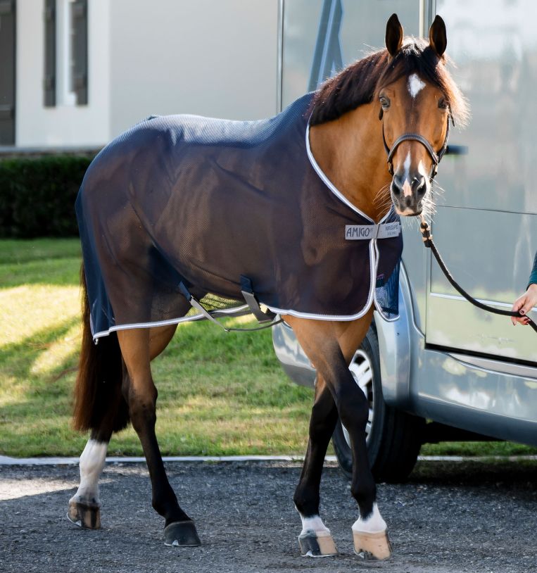 HORSEWARE Amigo® Net Cooler