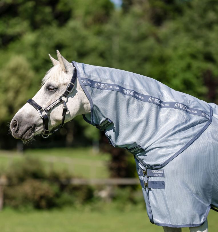 HORSEWARE Amigo® Bug Rug Plus Pony Fly Sheet