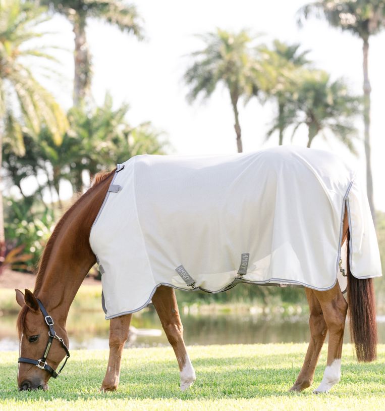 HORSEWARE Amigo® Bug Rug Fly Sheet